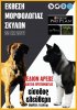 dogo canario.jpg dogo canario.jpg