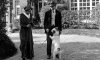Thomas Hardy's dog 1.jpg