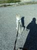 IMG_20171026_125247.jpg