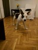 IMG_20171011_205316.jpg
