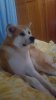 received_315250335619211.jpeg