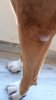 20171129_101729.jpg