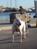 DSC01547.JPG
