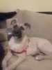 20171210_093239.jpg