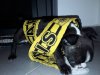 0-02-05-81ea0fe4aff55ab58af0c85d18fec815c287575eeadfec4949e4c00fa9271cd4_full.jpg