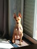 IMG_20171207_131337.jpg