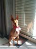 IMG_20171206_135223.jpg