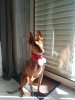 IMG_20171206_135229.jpg