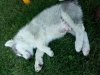 IMG_20170910_155737.jpg