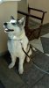 IMG_20171213_141935_2CS.jpg