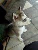 IMG_20171004_135411.jpg