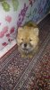 IMG_20171220_102001.jpg