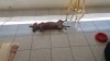 20170914_143900.jpg