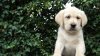 DSC07065.JPG