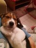 20171223_180035.jpg