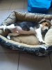 20180127_152654.jpg