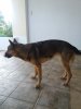 20180111_102659.jpg