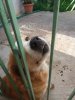 20180111_102942.jpg