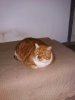 20180215_082358.jpg