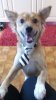 20161015_125346.jpg