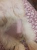 20180228_203229.jpg