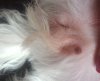 20180303_145530.jpg