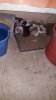 20170810_025707.jpg