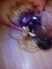IMG_20180410_105846.jpg