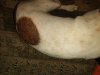 IMG_20180416_155158.jpg
