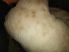 IMG_20180416_155120.jpg