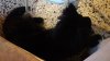 20180506_192641.jpg 20180506_192641.jpg