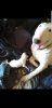 Screenshot_20180512-164620_Gallery.jpg