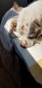 20180514_151115.jpg