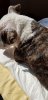 20180514_151109.jpg