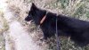 20180520_100016.jpg 20180520_100016.jpg