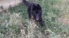 20180520_100039.jpg 20180520_100039.jpg