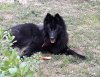 20180523_2020071.jpg 20180523_2020071.jpg