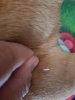 20180603_183423.jpg
