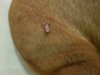 20180604_211838.jpg