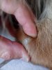 IMG_20180610_193716.jpg