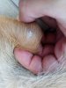 IMG_20180610_193633.jpg
