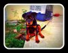 164510_165958020116&.jpg
