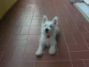 SANY0018...jpg