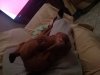 IMG_20180626_204450.jpg