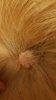 20180529_212829.jpg 20180529_212829.jpg