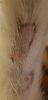 20180703_145916.jpg