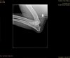 IMG-0007-00001.jpg