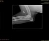 IMG-0002-00001.jpg