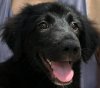 bo (2).jpg bo (2).jpg