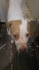 20180401_185315.jpg